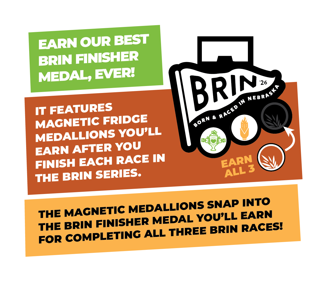 _BRIN Medal